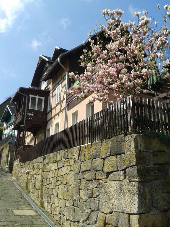 Wehlener Landhaus In Stadt Wehlen, Saechsische Schweiz Экстерьер фото